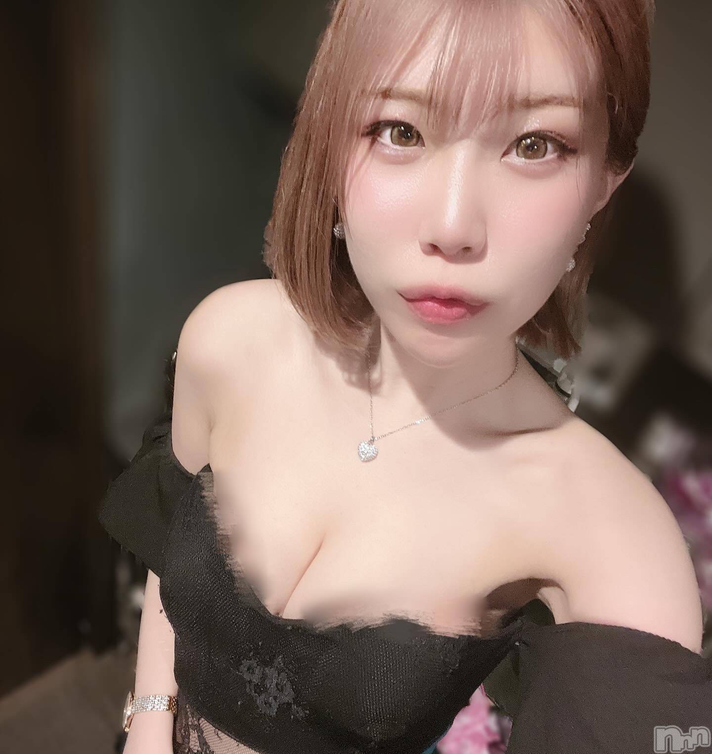 ƲХ顦151-A() 2025ǯ520̥֥֤ޤɤäȤäϤäԡäȤá