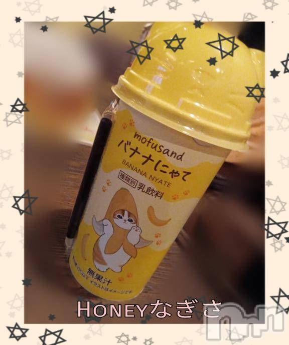上越デリヘルHONEY(ハニー) なぎさ(37)の2月22日写メブログ「愛溢れる猫の日𓃠」