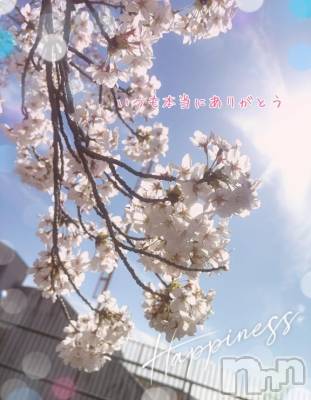 長岡デリヘル BIANCA～主人の知らない私～長岡店(ビアンカナガオカテン) 神城　りあ(35)の4月13日写メブログ「今年の桜はそろそろ終わりかな？🌸」