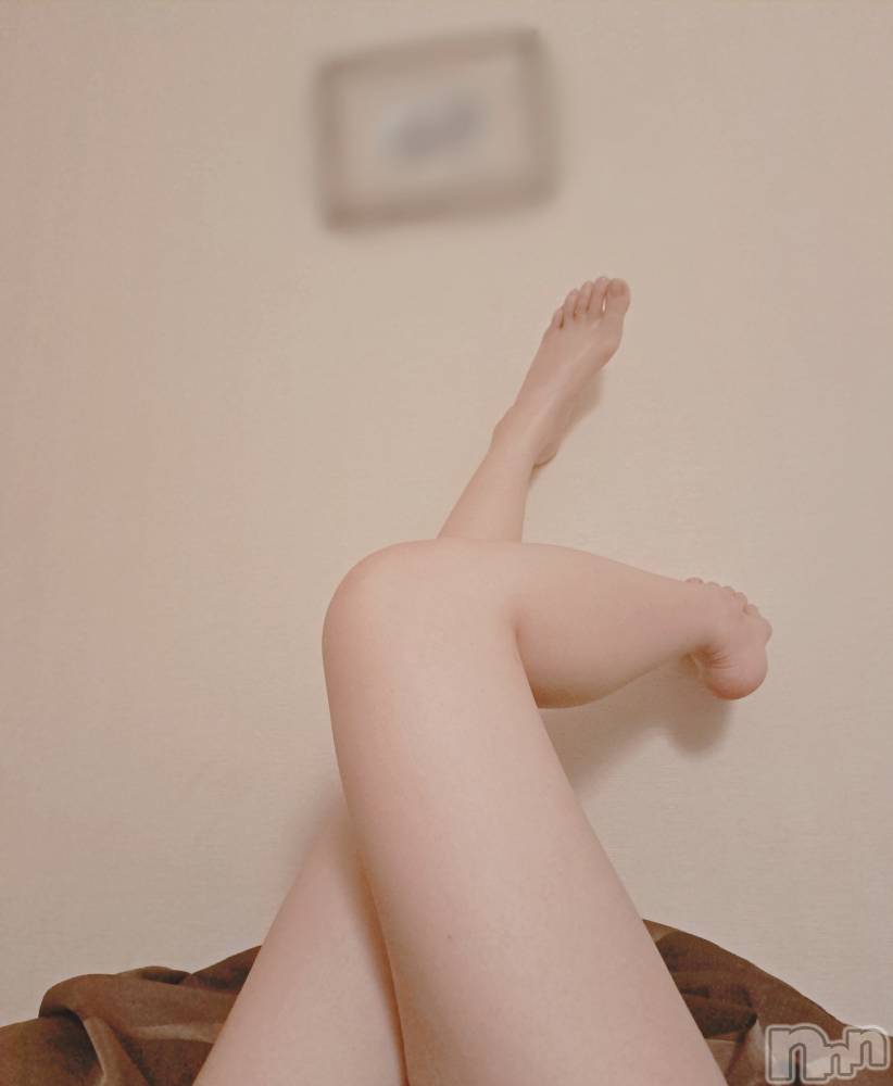 㡦ȯĥꥢ󥺥Ƥޤơ(ޥƥåȥ˥) ݡߤ220ּ̥֥պ