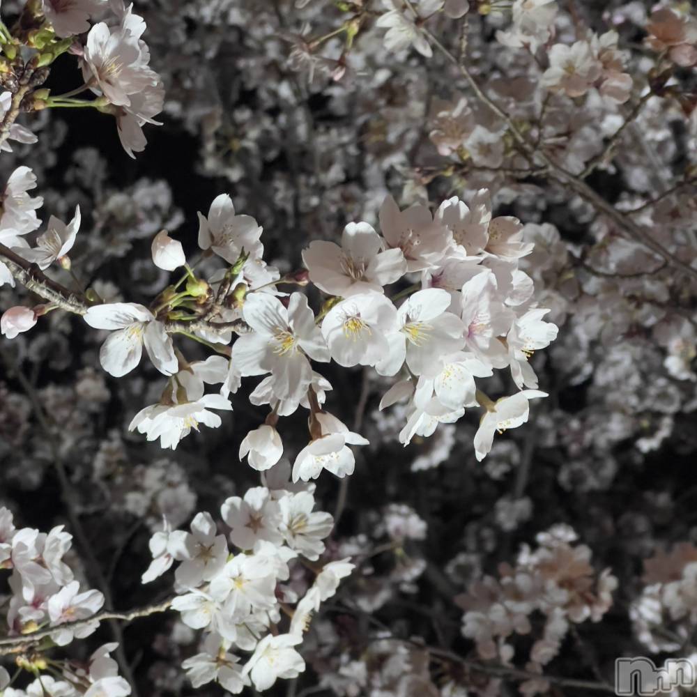 ƲХ顦ֲclubGrace(󥻥֥쥤) ޤĤ415̥֥֤🌸