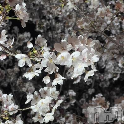ƲХ顦ֲclubGrace(󥻥֥쥤) ޤĤ415̥֥֤🌸