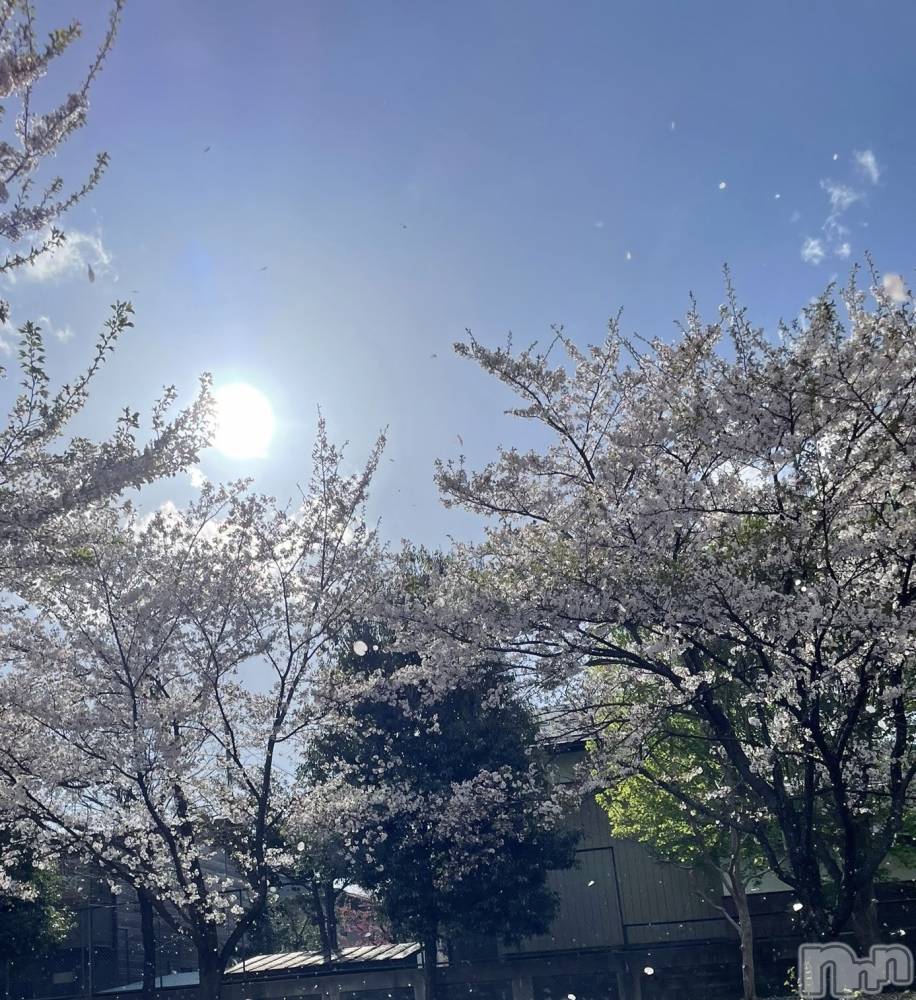Ĺʥå륺Сѥ ¤þе-ä礤-(եѥ å祤) 416ֲָ̥֥🌸🍡
