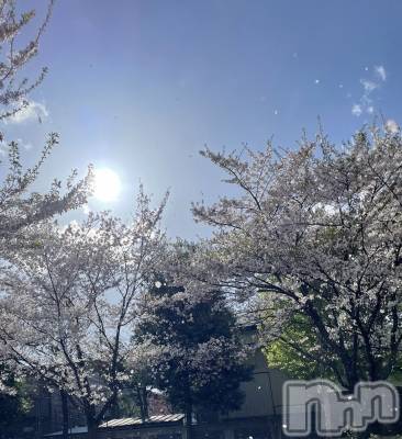 Ĺʥå륺Сѥ ¤þе-ä礤-(եѥ å祤) 416ֲָ̥֥🌸🍡