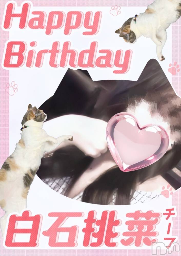 ĮХ顦club Diana(֥ǥ) 31̥֥פ