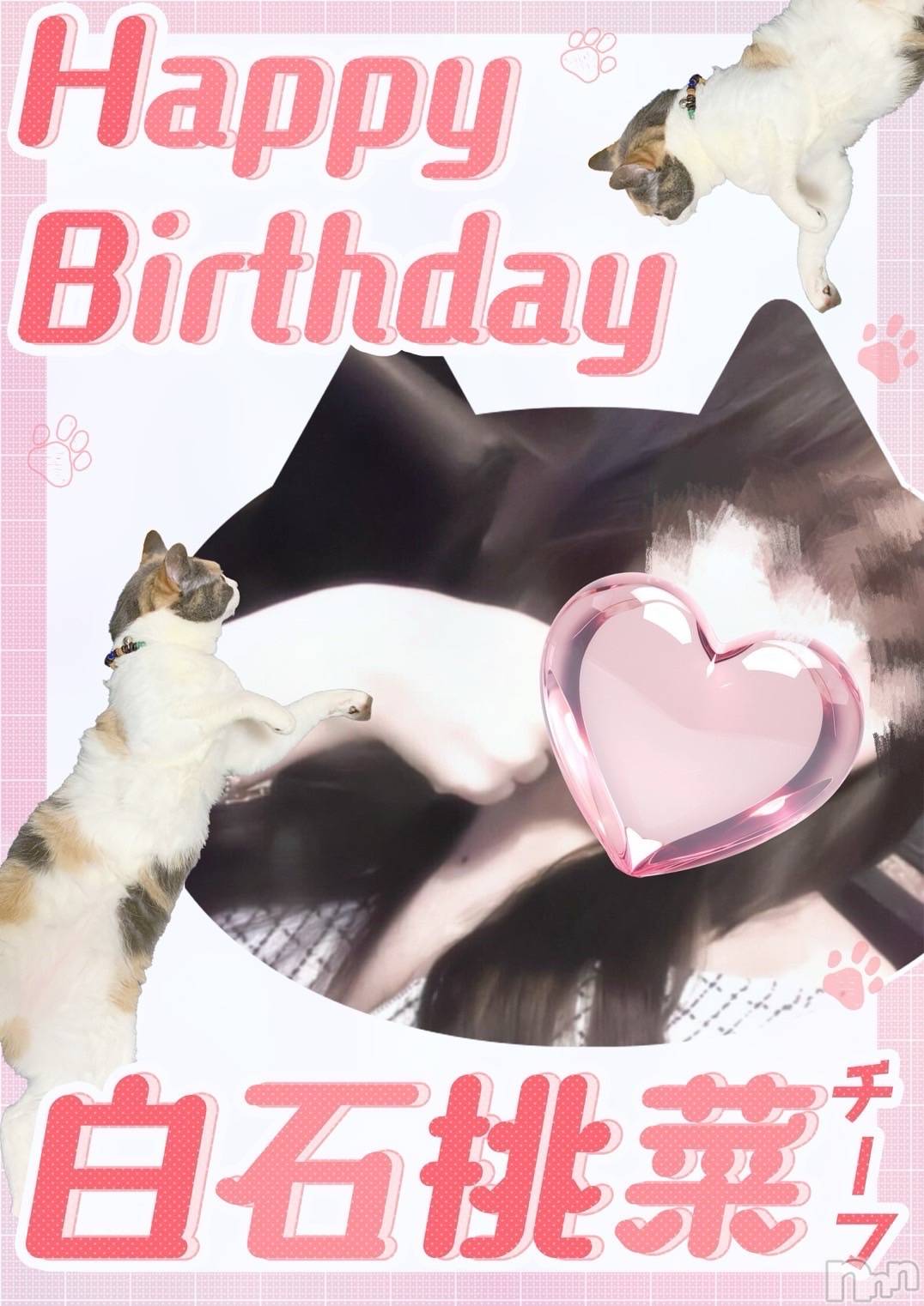 ĮХ顦club Diana(֥ǥ) 2025ǯ31̥֥פ