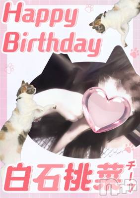 ĮХ顦club Diana(֥ǥ) (21)31̥֥פ