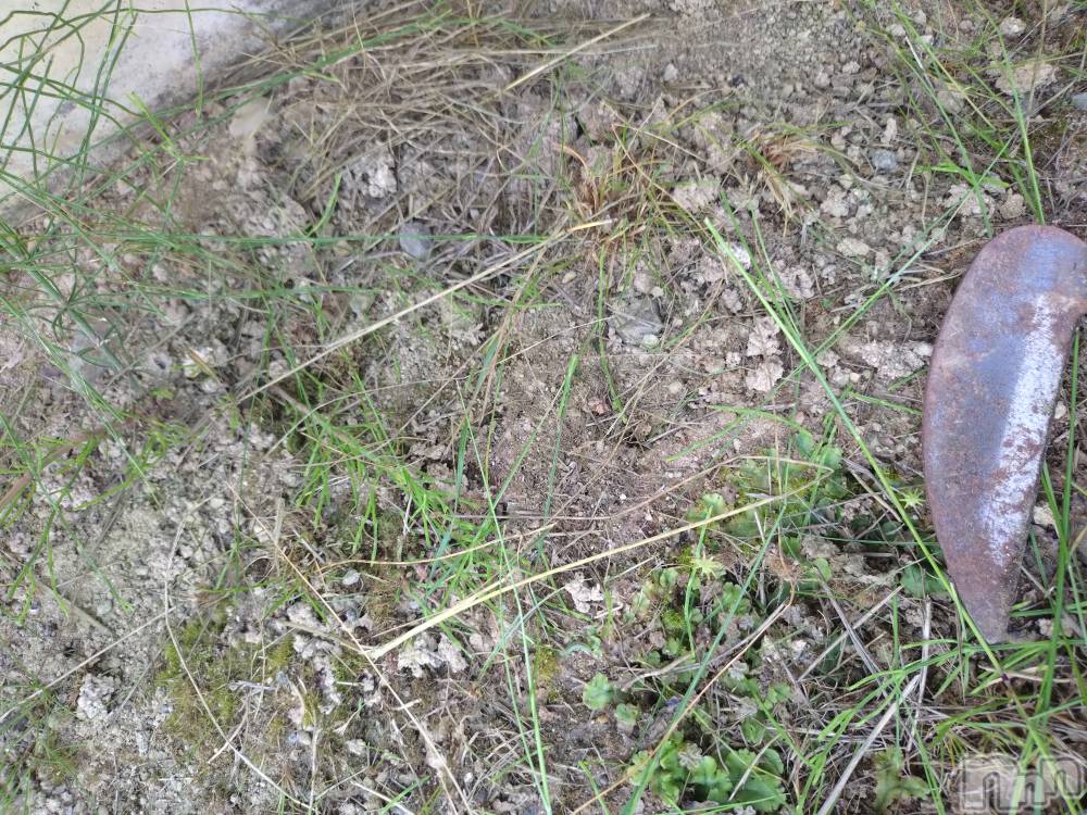長岡人妻デリヘル長岡人妻市(ナガオカヒトヅマイチ) ひかり★リアル不倫体感度250%(38)の6月7日写メブログ「土曜日＊*」