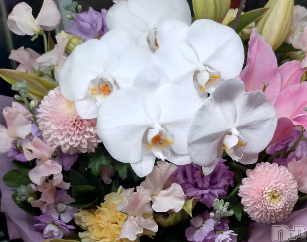 長岡デリヘル長岡人妻市(ナガオカヒトヅマイチ)ひかり★背徳の『密会』(38)の2026年3月11日写メブログ「３月１１日＊*」