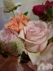 長岡デリヘル長岡人妻市(ナガオカヒトヅマイチ) ひかり★背徳の『密会』(38)の9月8日写メブログ「9月8日 21時15分のブログ」