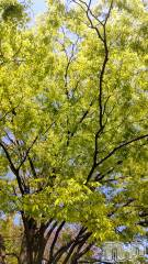 長岡デリヘル長岡人妻市(ナガオカヒトヅマイチ) ひかり★リアル不倫体感度250%(38)の5月9日写メブログ「出勤します＊*」