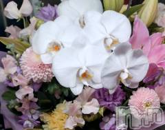 長岡デリヘル長岡人妻市(ナガオカヒトヅマイチ) ひかり★背徳の『密会』(38)の3月11日写メブログ「３月１１日＊*」