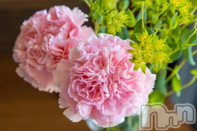 長岡デリヘル 長岡人妻市(ナガオカヒトヅマイチ) ひかり★背徳の『密会』(38)の5月13日写メブログ「月曜日☆」