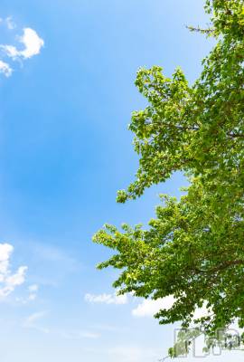 長岡デリヘル 長岡人妻市(ナガオカヒトヅマイチ) ひかり★背徳の『密会』(38)の5月14日写メブログ「五月空☆」