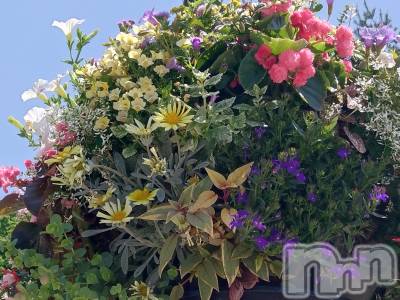 長岡デリヘル 長岡人妻市(ナガオカヒトヅマイチ) ひかり★背徳の『密会』(38)の7月15日写メブログ「海の日🌊」