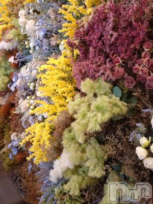 長岡デリヘル 長岡人妻市(ナガオカヒトヅマイチ) ひかり★リアル不倫体感度250%(38)の3月2日写メブログ「３月＊*」