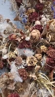 長岡デリヘル 長岡人妻市(ナガオカヒトヅマイチ) ひかり★背徳の『密会』(38)の3月8日写メブログ「３月８日＊*」