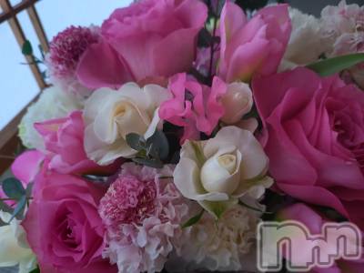 長岡デリヘル 長岡人妻市(ナガオカヒトヅマイチ) ひかり★背徳の『密会』(38)の3月20日写メブログ「春分の日🎌」