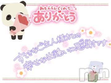 松本発ぽっちゃりちゃんこ長野　塩尻北IC店(チャンコナガノ　シオジリキタインターチェンジテン) まなみ(35)の4月12日写メブログ「19時～お礼🌸」