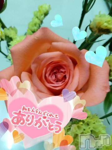 松本発ぽっちゃりちゃんこ長野　塩尻北IC店(チャンコナガノ　シオジリキタインターチェンジテン) まなみ(35)の5月25日写メブログ「19時～お礼❤️」