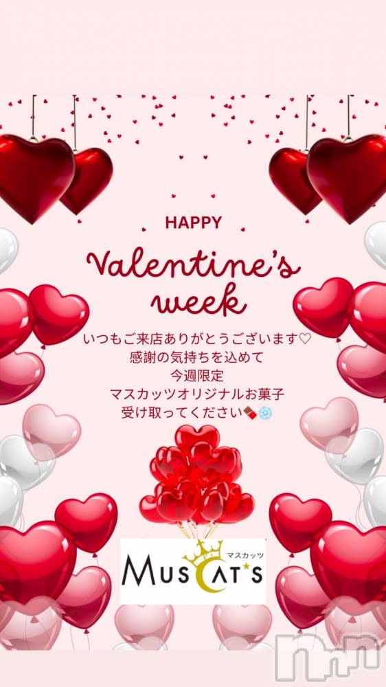 Ʋʥå륺СMuscat`s(ޥå) ʤ211̥֥֥Х󥿥🍫