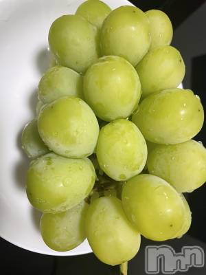 Ʋʥå륺СMuscat`s(ޥå) (24)919̥֥֥㥤ޥå()💚