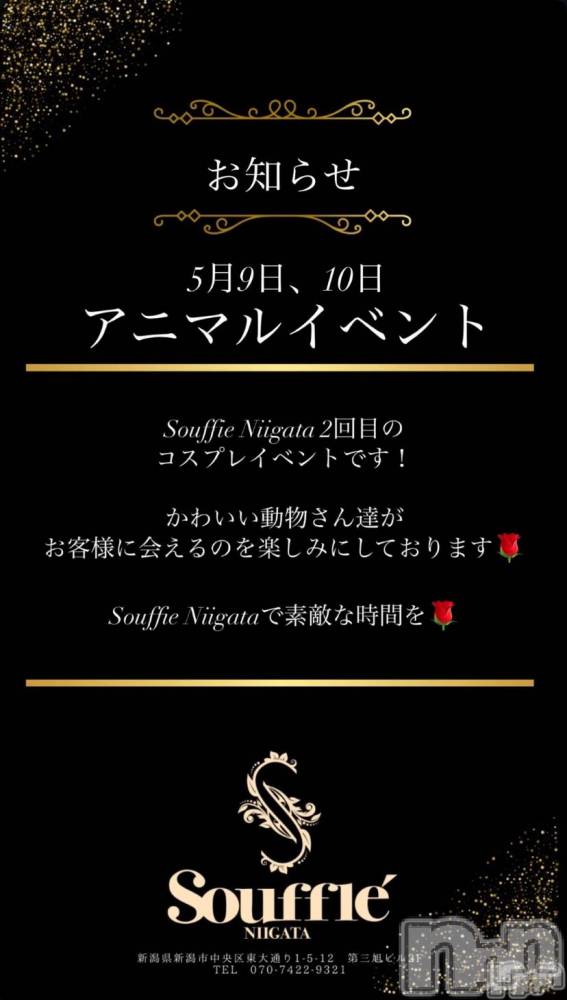 Х顦Souffle NIIGATA(ե˥) ī ߤ餤59̥֥֤Τ餻ˤ🐱🎶🩷