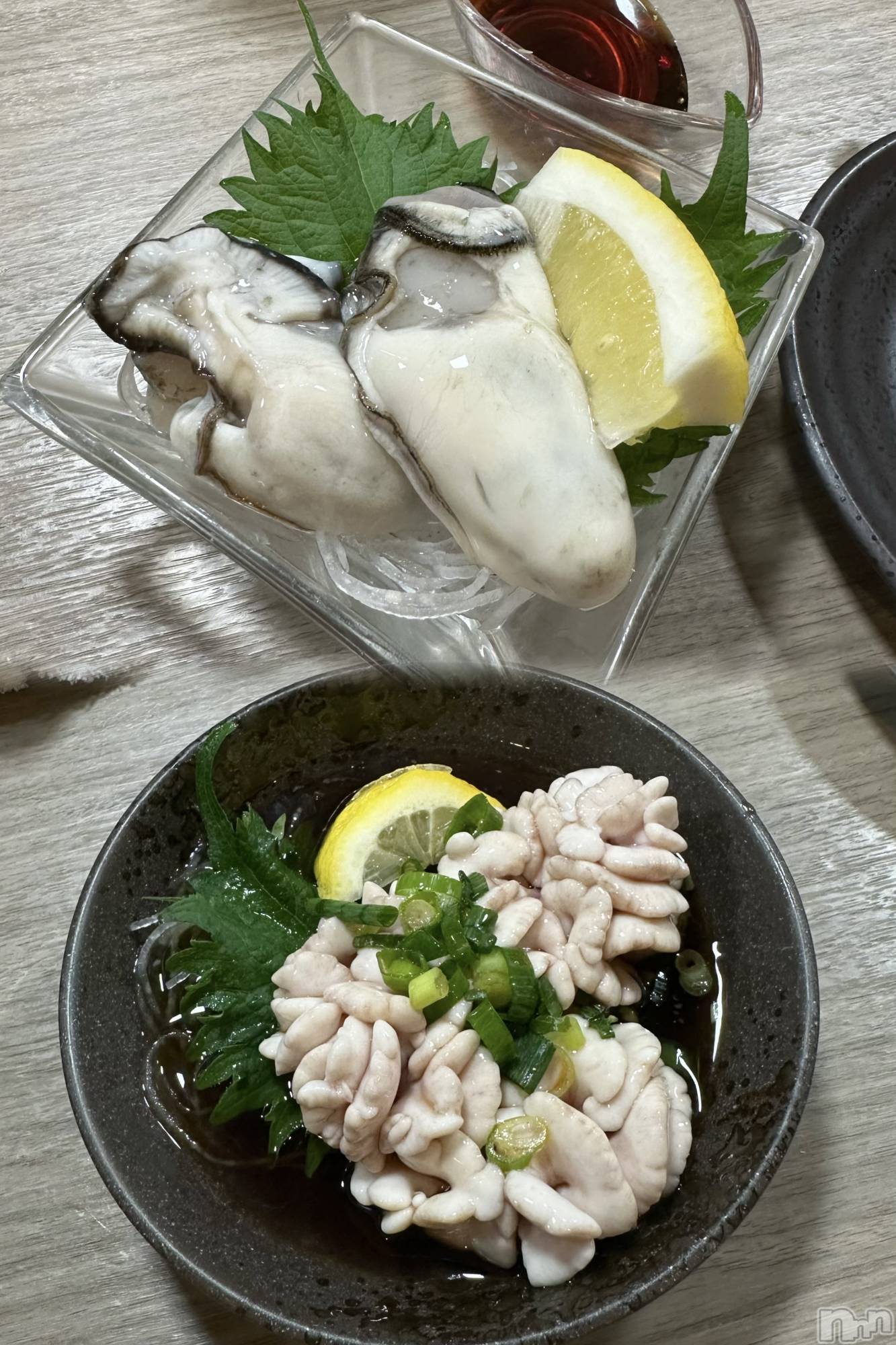 Х顦Souffle NIIGATA(ե˥) 2025ǯ123̥֥❕❕