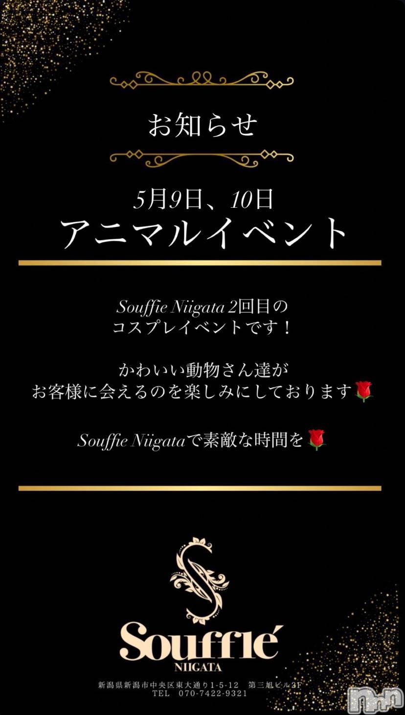 Х顦Souffle NIIGATA(ե˥) 2025ǯ59̥֥֤Τ餻ˤ🐱🎶🩷