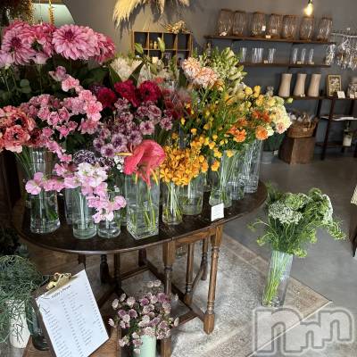 Х顦Souffle NIIGATA(ե˥) ī ߤ餤(99)67̥֥֤碌💐🌷🌼