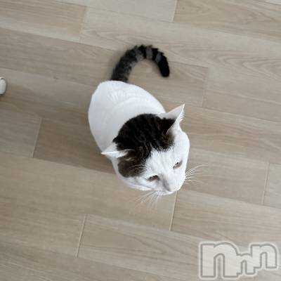 Х顦Souffle NIIGATA(ե˥) ī ߤ餤(99)814̥֥֤ޤäƤΡ😿🩷🩷