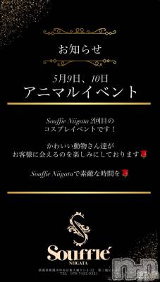 Х顦Souffle NIIGATA(ե˥) ī ߤ餤(99)59̥֥֤Τ餻ˤ🐱🎶🩷