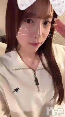 ꡼🐱🩷