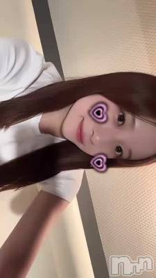 Ϥˤ㡩🐱