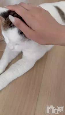 ˤ󤳤🐱🖖🏻💞