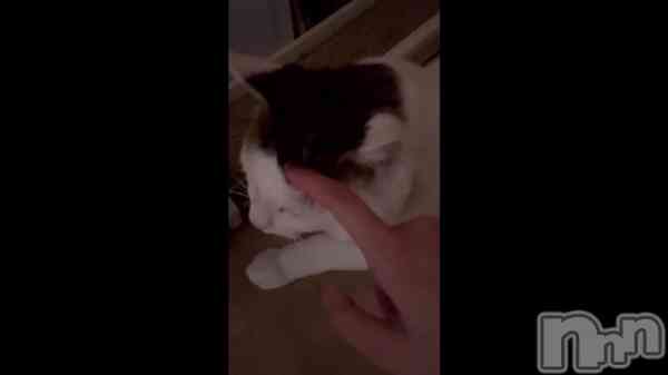 ֤ˤ󤹤&#x1F431;&#x1F43E;&#x1F4AB;