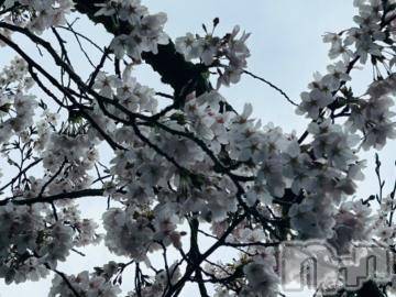 長岡デリヘル 長岡風俗出張アロママッサージ(ナガオカフウゾクシュッチョウアロママッサージ) 業界未経験アイドル系☆そら(30)の4月9日写メブログ「こんにちは」