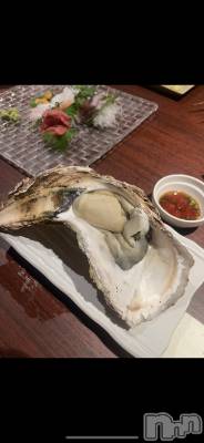 ʥå륺СLE SOLEIL( 쥤) (20)828̥֥֤δ֤ڤǤ🦪🤍