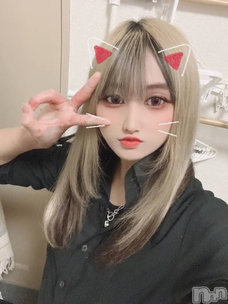 ʥå륺С륺åޤʤߤ(륺åޥʥߥ) 41̥֥41 2005ʬΥ֥