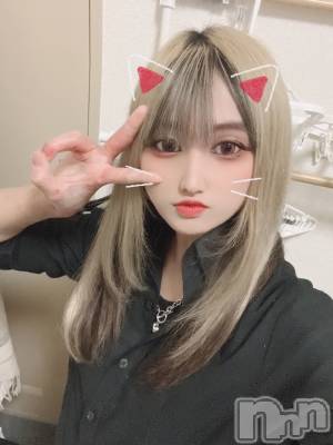 ʥå륺С륺åޤʤߤ(륺åޥʥߥ) (18)41̥֥41 2005ʬΥ֥