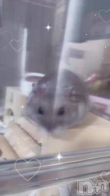 襤