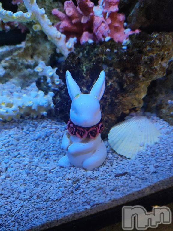 三条デリヘル新潟デリヘル倶楽部　三条店(ニイガタデリヘルクラブ　サンジョウテン) まき(19)の2月21日写メブログ「また来週～」