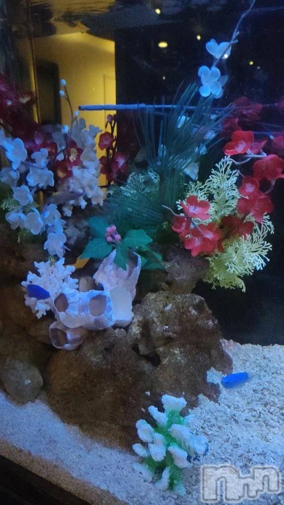 三条デリヘル新潟デリヘル倶楽部　三条店(ニイガタデリヘルクラブ　サンジョウテン)まき(19)の2026年1月25日写メブログ「地味に楽しみ」