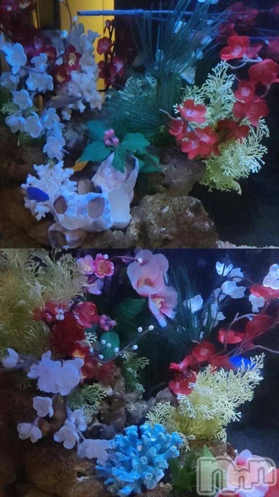 三条デリヘル新潟デリヘル倶楽部　三条店(ニイガタデリヘルクラブ　サンジョウテン)まき(19)の2026年1月29日写メブログ「ビフォーアフター」