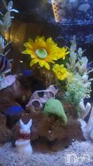 三条デリヘル新潟デリヘル倶楽部　三条店(ニイガタデリヘルクラブ　サンジョウテン) まき(19)の7月18日写メブログ「つい覗いちゃう👀」