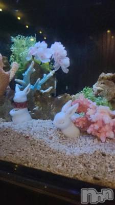 三条デリヘル 新潟デリヘル倶楽部　三条店(ニイガタデリヘルクラブ　サンジョウテン) まき(19)の9月26日写メブログ「行けてないかも💭」