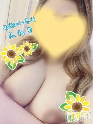 新人　ふわり(26) 身長159cm、スリーサイズB102(G以上).W62.H97。上越人妻デリヘル 上越最安値！奥様Deli急便(ジョウエツサイヤスネ！オクサマデリキュウビン)在籍。