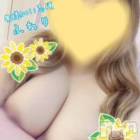 新人　ふわり