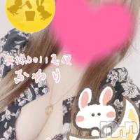 新人　ふわり