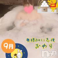 新人　ふわり